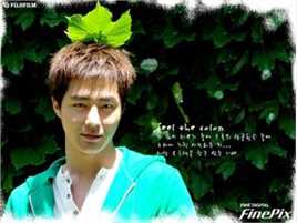 崔文锡巴厘岛的故事前后照片