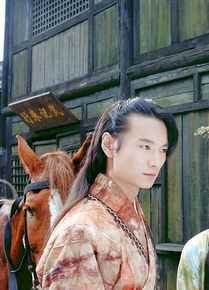 高清赵鸿飞在2008年《浣花洗剑录》饰演木郎神君中的图册