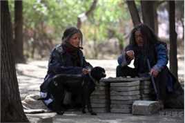 高清松山健一(松山ケンイチ)精彩图册