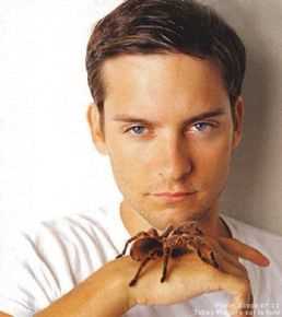 最新托比·马奎尔(Tobey Maguire)性感图片