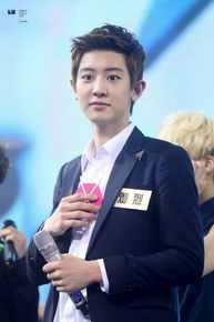 朴灿烈(（韩文名）、Park Chanyeol（官方艺名）)综艺节目性感图片图集