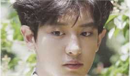 朴灿烈(（韩文名）、Park Chanyeol（官方艺名）)动态图图片图集