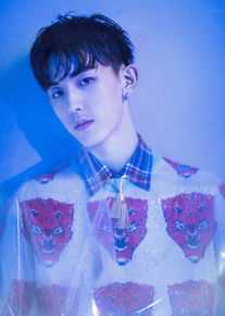 郭俊辰精选个人图册