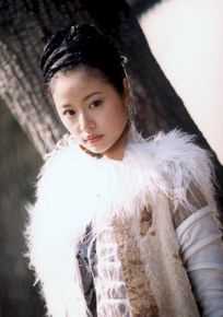 精选林心如(Ruby Lin)在《飞刀又见飞刀》薛采月中的图册