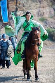 刘帅良《兰陵王妃》最新剧照