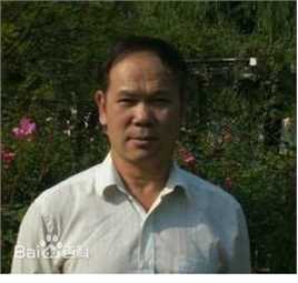 高清张伦性感图片