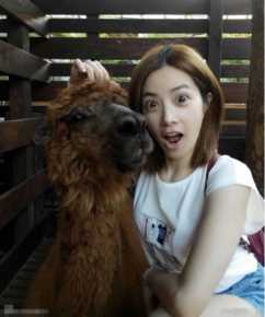 徐怀钰(Yuki Hsu)生活照生活照相册