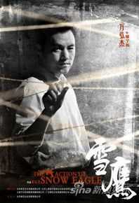 万弘杰电视剧《雪鹰》精选剧照