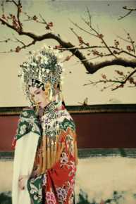 赵姝婷(Linda Zhao)最全照壁纸