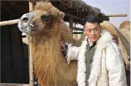 何涛电视剧《风雨沙坡头》最全剧照