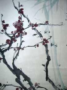 最新沈光伟性感图片