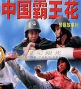 邹倚天《中国霸王花》最优质剧照