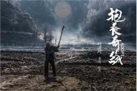 刘潇珂第2届丝绸之路国际电影节壁纸壁纸