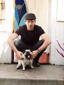 最全休·劳瑞(Hugh Laurie)壁纸