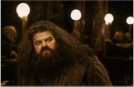 最优质罗比·考特拉尼(Robbie Coltrane)罗彼·考特拉尼精彩图册