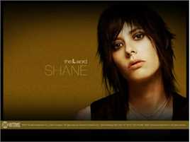 精选凯瑟琳·莫宁(Katherine Sian Moennig)精彩图册