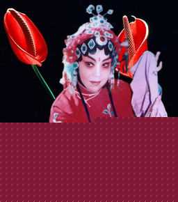 《王素君》封面图片