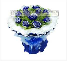 礼物(Gift; Contribution; Donation; Present; Tribute)鲜花图册性感图片壁纸