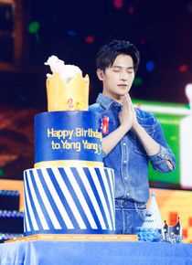吴念真(Wen-ching Wu)杨洋2016自在YOUNG生日会生活照相册