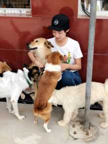 林源“北京领养日”的宣传大使图片图集