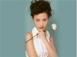 杨雪高清集图集