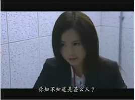 傅颖(Theresa Fu)2007年《廉政行动2007》最全剧照