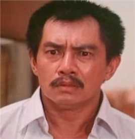 陈星概述图册前后照片