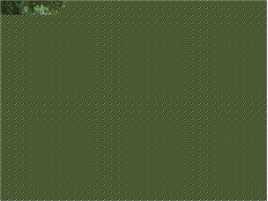 最全曾雅纯(Laura)精彩图册