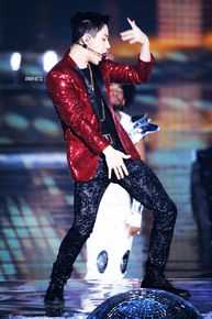 刘宪华(Henry Lau、)演出舞台图册