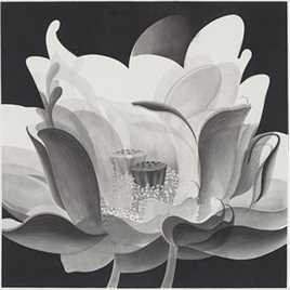 陈琦作品欣赏生活照相册