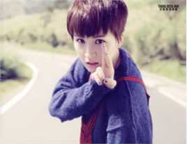 曾沛慈(Pets)专辑图册图片图集