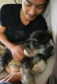 精选周咏轩(Wasir Chou)精彩图册