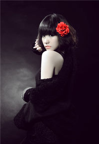 最新莫龙丹(Eleven)精彩图册