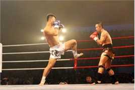 张笑君 拳击图册