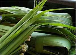 芦苇叶素颜照相册