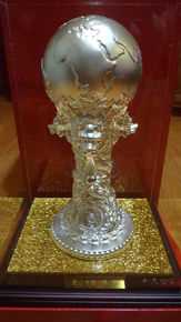 阳蕾(Shine Yang)国际获奖殊荣性感图片图集