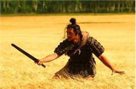 麦田(Wheat)镜头剪辑图册