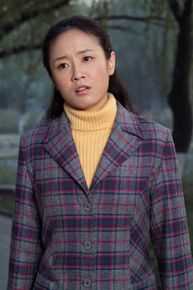 丁洋参演电视剧《人活一张脸》精选剧照