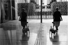 胡歌(Hugh)欧洲之行作品展性感图片图集