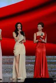 精选刘诗诗(Liu Shishi)精彩图册4