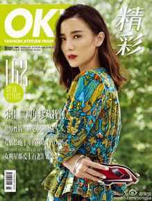 宋佳(Song Jia)OK!精彩2015年5月刊性感图片图集