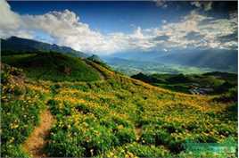 田壮壮(Zhuangzhuang Tian)精彩图册