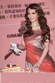 张韶涵(Angela Chang、Angela Zhang)2011年1月19日生日当天举办新书记者会壁纸壁纸