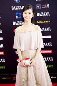 杨紫(Andy)芭莎慈善夜生活照相册