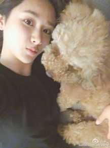 杨紫(Andy)微博图册