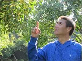 最新曹秋根精彩图册