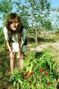 高清郑凡精彩图册