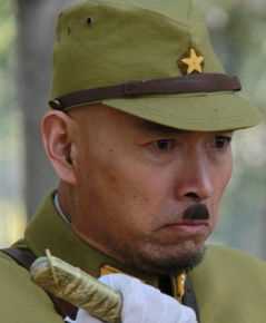 沈保平(巍峨)三进山城图册