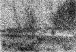 周国斌作品欣赏前后照片