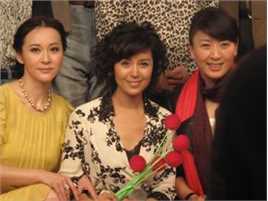 于莉红出席新闻发布会壁纸壁纸